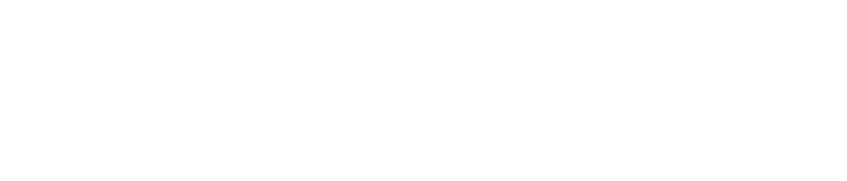 Bandit Network
